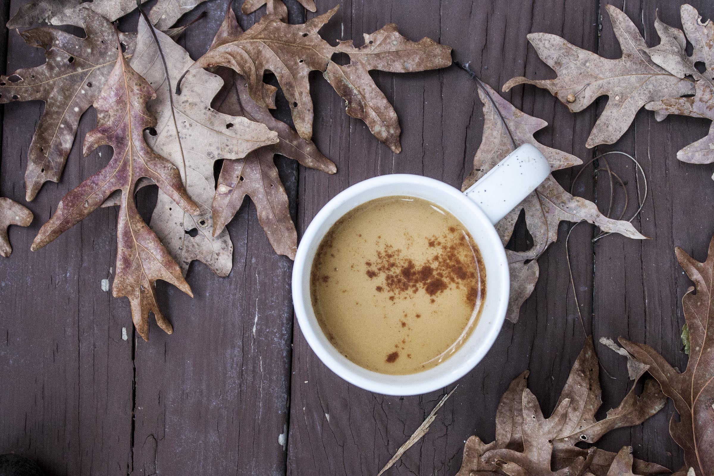 Cinnamon Dusted Pumpkin Pecan Milk - exactly what we need when the weather is chilly and the afternoon is long. lifeaswecook.com