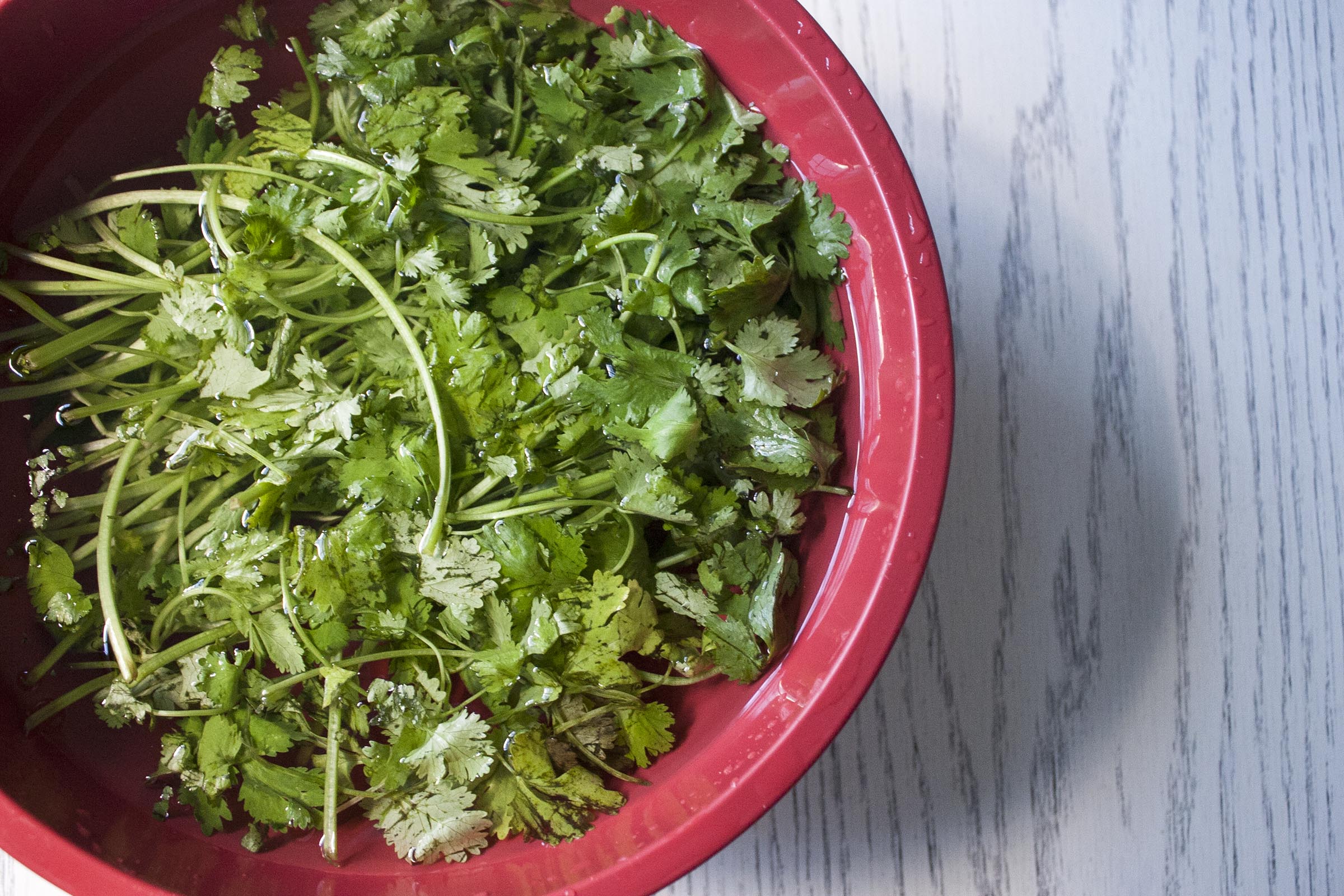 washing-cilantro