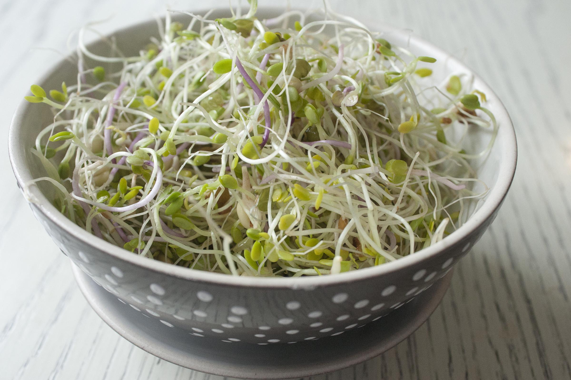 Mixed sprouts for summer rolls. lifeaswecookit.com